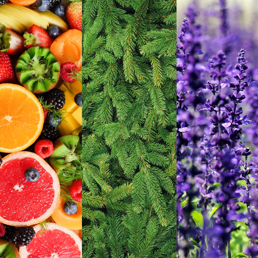 Terpene Isolates: What are the Possible Benefits and Uses?