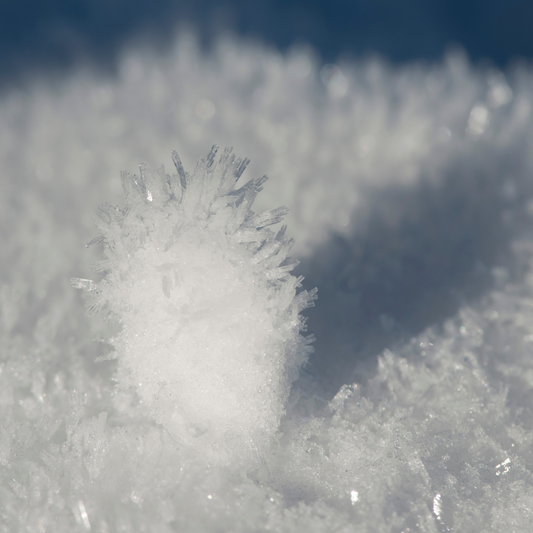 Cool Water Soluble Flavour Concentrate