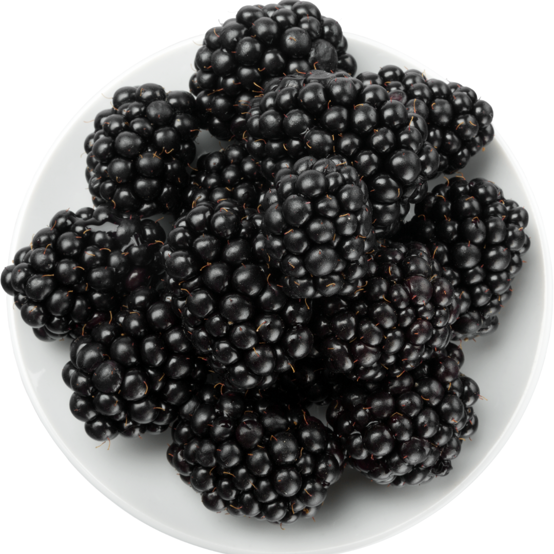 Blackberry Water Soluble Flavour Concentrate