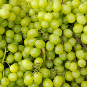 Drops Grape Fog Juice