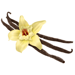 Vanilla Water Soluble Flavour Concentrate