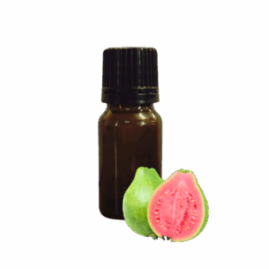 Guava Flavour Concentrate Natural Oil Soluble