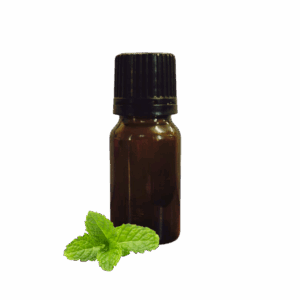 Menthol Flavour Concentrate Natural Oil Soluble