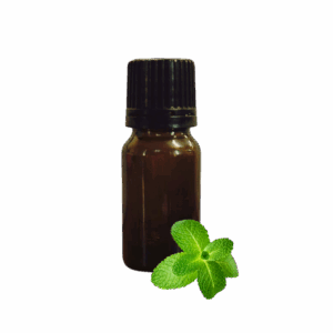 Mint Flavour Concentrate Natural Oil Soluble